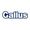 Gallus